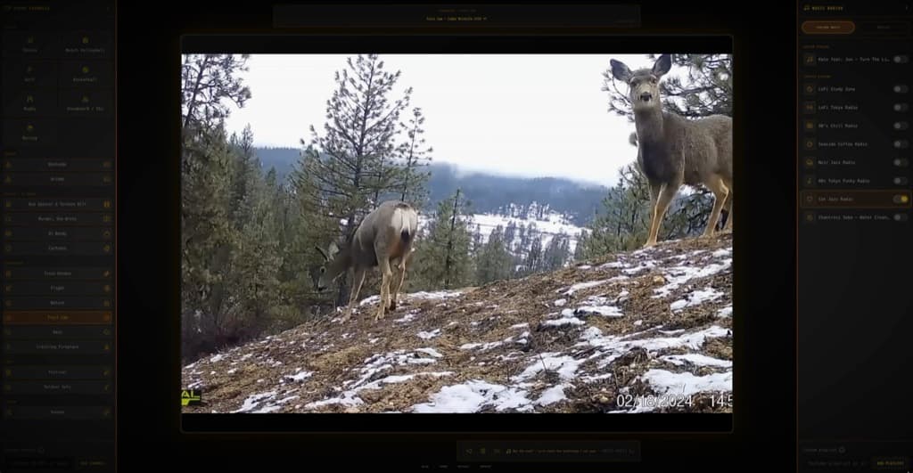 slowcast Trail Cam channel — two deer on a snowy hillside caught on a remote wildlife camera