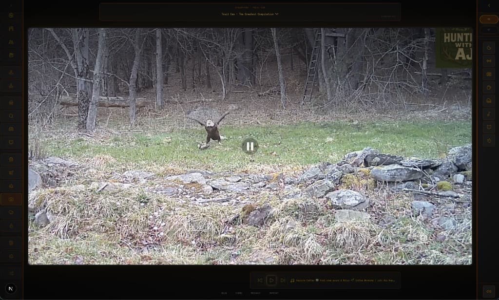slowcast Trail Cam channel — a bald eagle landing in a frosty forest clearing on a remote wildlife camera