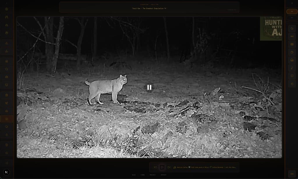 slowcast Trail Cam channel — a mountain lion caught on a night-vision wildlife camera